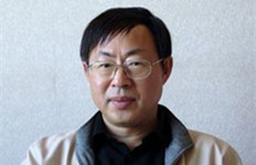 石鸥